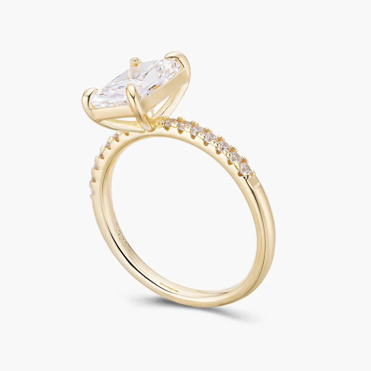 Dani Ring - Image 9
